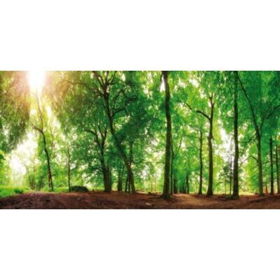 Canvas 50x100 cm Spring Forest